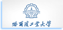 Harbin Institute of Technology